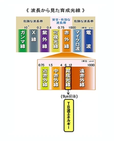 榊原技建　節電事業　テラヘルツ波説明